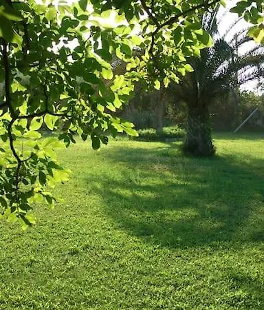 Casavita 1