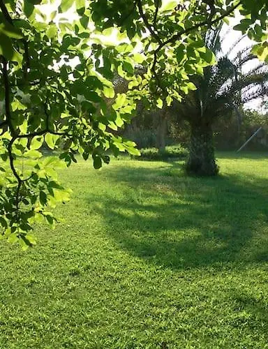 Casavita 1