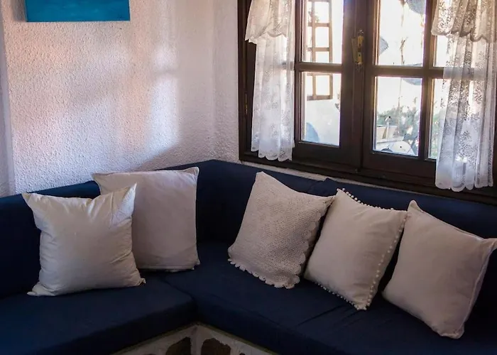 Casavita 1